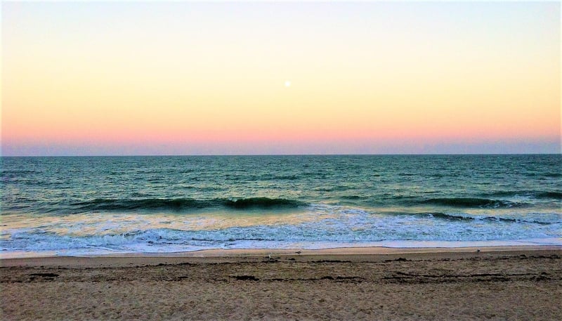 Beachside Relaxation