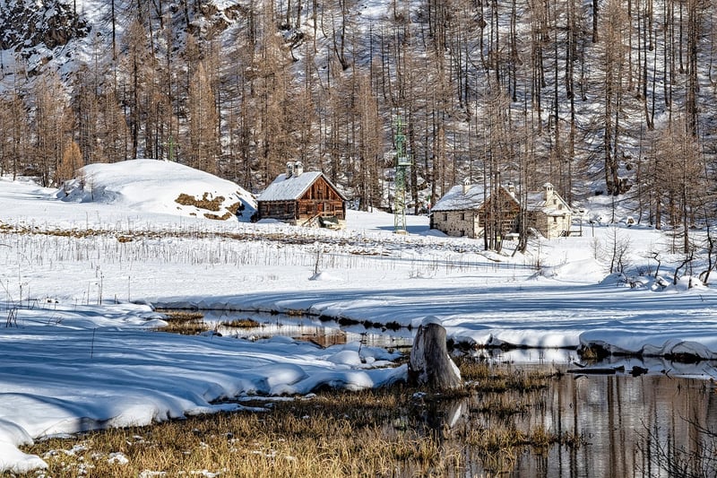 Rustic Cabin in the Woods