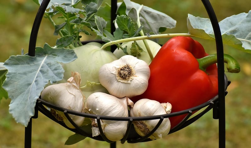Farm-to-Table Dining